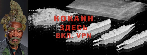 мяу мяу мука Абаза